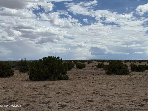 N6503 Elk Valley Ranch Lot 21, Saint Johns, AZ 85936