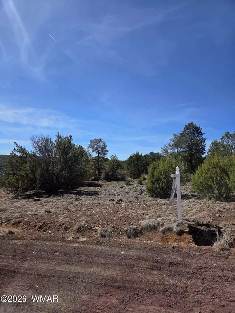 6 Co Rd, Vernon, AZ 85940