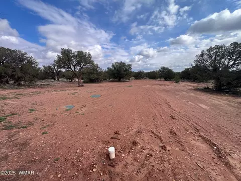 Exterior - 4129 Apache Rd, Snowflake, AZ 85937 photo 11 of 11