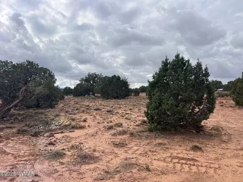 Other - 4129 Apache Rd, Snowflake, AZ 85937 photo 20 of 22