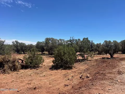 Other - 4129 Apache Rd, Snowflake, AZ 85937 photo 21 of 22