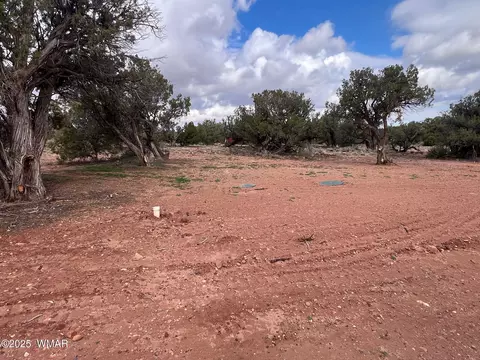 Exterior - 4129 Apache Rd, Snowflake, AZ 85937 photo 10 of 11