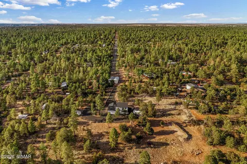 View/Area - 2845 Mustang Trl, Overgaard, AZ 85933 photo 3 of 4