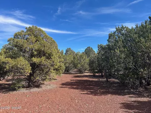 lot86 Ricks Rd, Vernon, AZ 85940