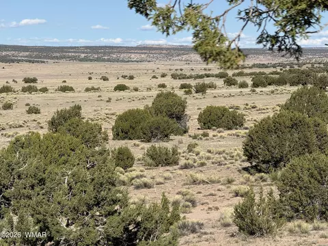 tbd Woodland Valley Rnch #LOT 849, Saint Johns, AZ 85936