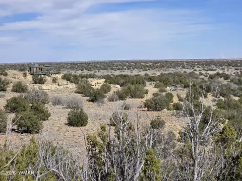 5827 Watermelon Dr, Heber, AZ 85928