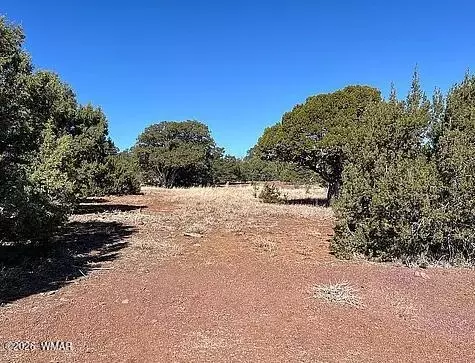 28 N8620 Parcel 107-38-002g, Concho, AZ 85924