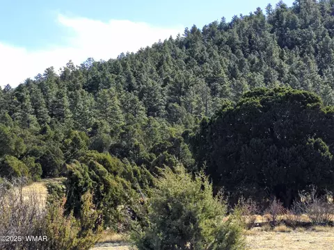 lot8 Red Cabin Rnch #8, Vernon, AZ 85940