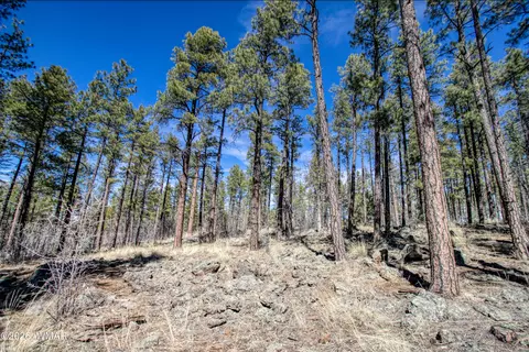 4 E Acres E Osprey Ln, Pinetop, AZ 85935