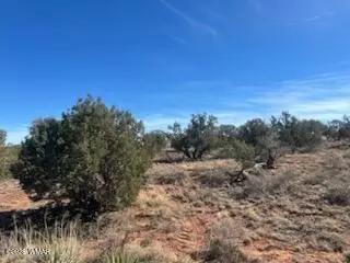 4401 Indian Bend Rd, Snowflake, AZ 85937 photo 5