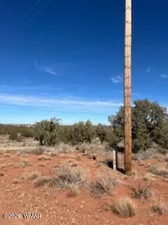 4401 Indian Bend Rd, Snowflake, AZ 85937 photo 3