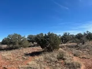 4401 Indian Bend Rd, Snowflake, AZ 85937 photo 2
