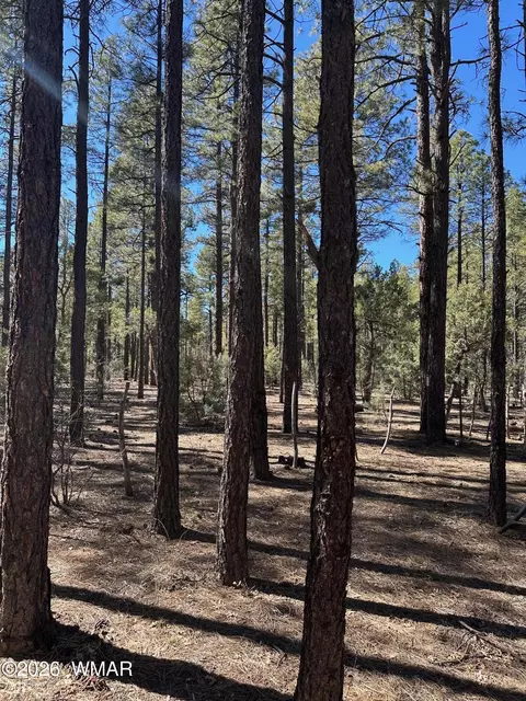 3725 Bear Trl, Lakeside, AZ 85929