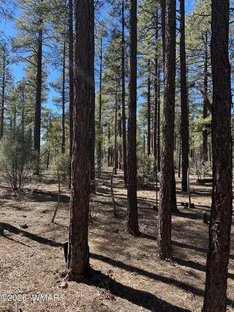3737 Bear Trl, Lakeside, AZ 85929