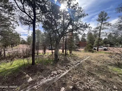 2856 Rainbow Trl, Overgaard, AZ 85933 photo 2