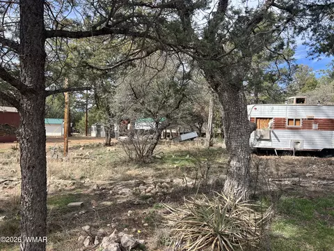 2856 Rainbow Trl, Overgaard, AZ 85933 photo 7