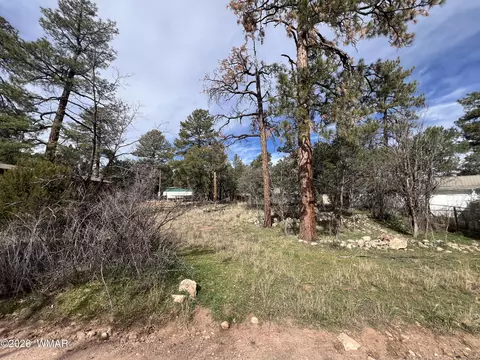 2856 Rainbow Trl, Overgaard, AZ 85933 photo 5