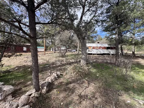 2856 Rainbow Trl, Overgaard, AZ 85933 photo 6