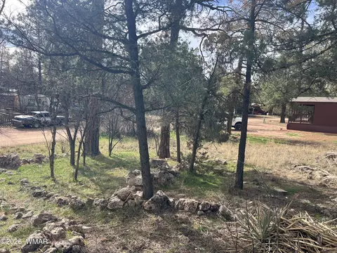 2856 Rainbow Trl, Overgaard, AZ 85933 photo 3