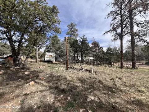 2856 Rainbow Trl, Overgaard, AZ 85933 photo 4