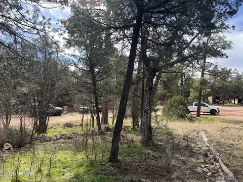 2856 Rainbow Trl, Overgaard, AZ 85933 photo 8