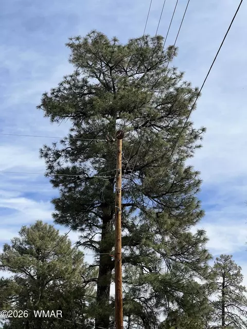 2856 Rainbow Trl, Overgaard, AZ 85933 photo 9