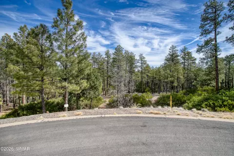 2245 S Columbine Ct, Show Low, AZ 85901