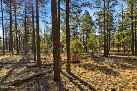 2090 Knotty Pine Cir, Overgaard, AZ 85933 photo 2