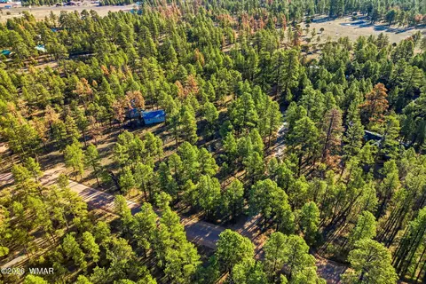 2090 Knotty Pine Cir, Overgaard, AZ 85933 photo 4