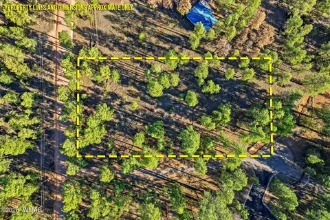 2090 Knotty Pine Cir, Overgaard, AZ 85933 photo 17
