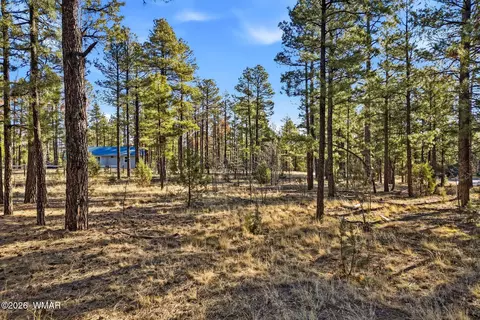 2090 Knotty Pine Cir, Overgaard, AZ 85933