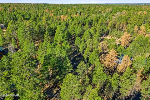 2090 Knotty Pine Cir, Overgaard, AZ 85933 photo 12