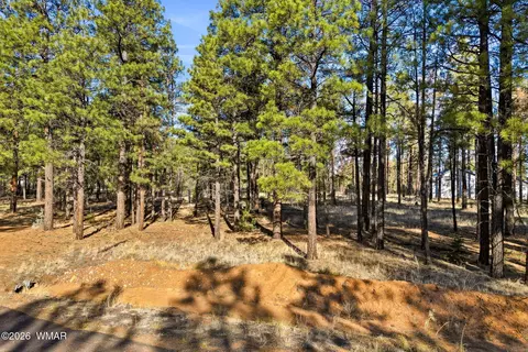 2090 Knotty Pine Cir, Overgaard, AZ 85933 photo 3