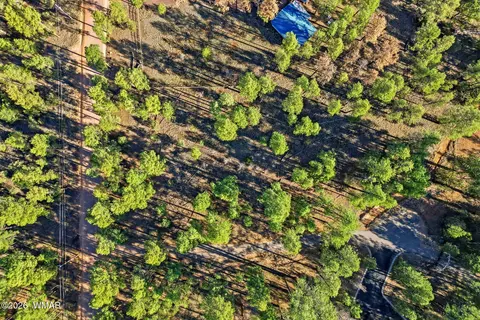 2090 Knotty Pine Cir, Overgaard, AZ 85933 photo 8
