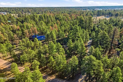 2090 Knotty Pine Cir, Overgaard, AZ 85933 photo 9