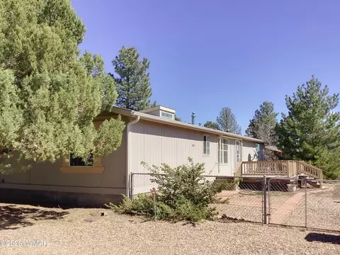 310 Timber Ridge Loop, Show Low, AZ 85901 photo 41