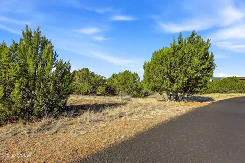 8379 Lake View Dr, Show Low, AZ 85901