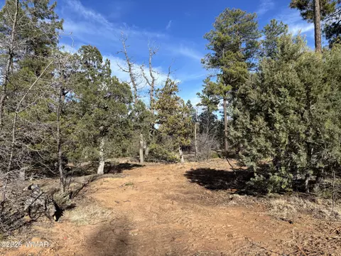 6992 Wagon Wheel Ln, Lakeside, AZ 85929