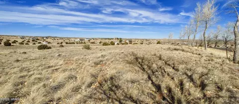 1960 S Blossom Ln, Taylor, AZ 85939