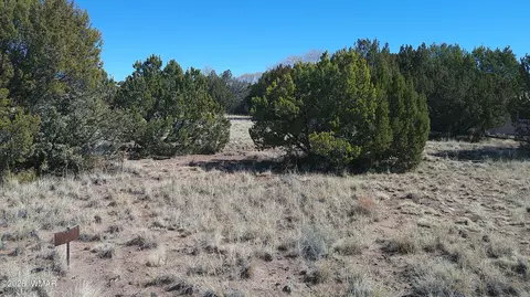 tbd Concho Valley 1 Dr, Concho, AZ 85924
