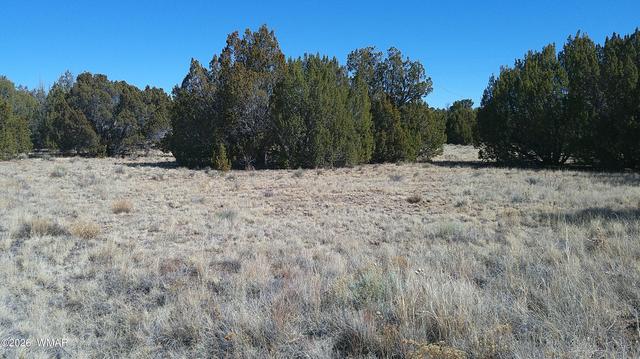 24 Wood Ln, Concho, AZ 85924