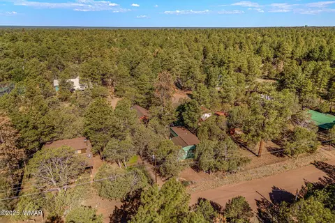 2888 Dale Rd, Overgaard, AZ 85933 photo 21