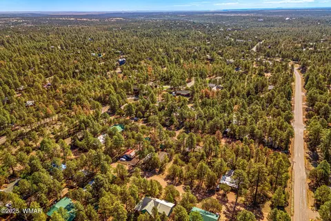 2888 Dale Rd, Overgaard, AZ 85933 photo 25