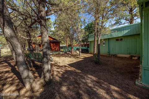 2888 Dale Rd, Overgaard, AZ 85933 photo 18