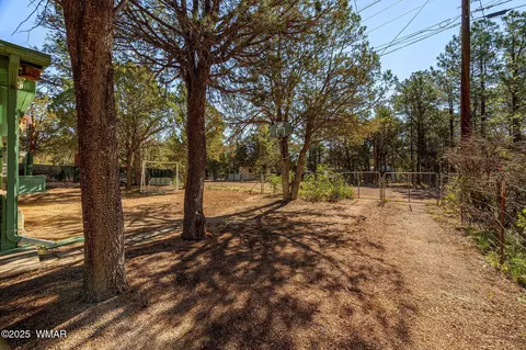 2888 Dale Rd, Overgaard, AZ 85933 photo 17