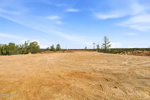 3363 Spring Ct, Heber, AZ 85928 photo 5