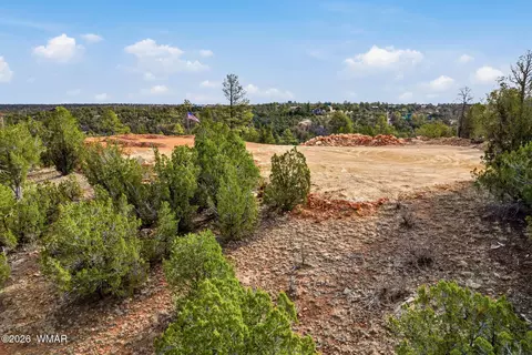 3363 Spring Ct, Heber, AZ 85928 photo 18