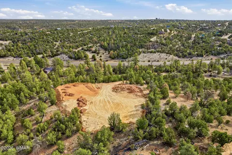 3363 Spring Ct, Heber, AZ 85928 photo 14