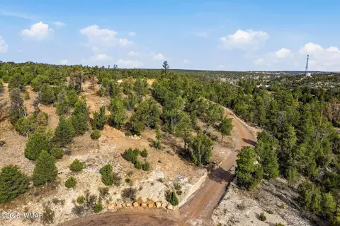 3363 Spring Ct, Heber, AZ 85928 photo 17