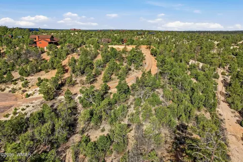 3363 Spring Ct, Heber, AZ 85928 photo 16